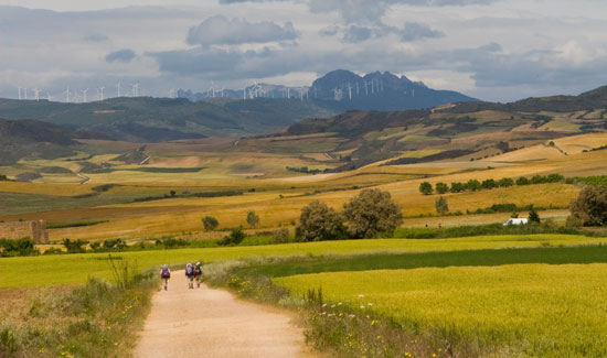 camino_home